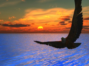 Fondos de Pantalla 3D (11)