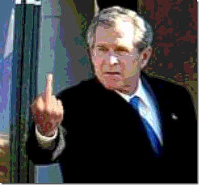 bush