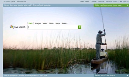 live-search-home-page