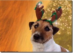navideñas