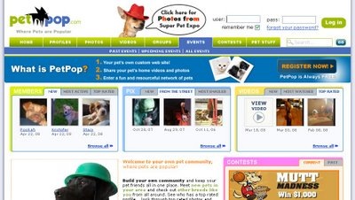 petpop.bmp