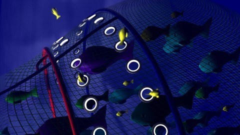 Safety Net. JDA 2012