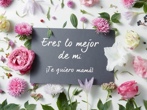 Los mejores mensajes frases para el dia de la madre eres lo mejor